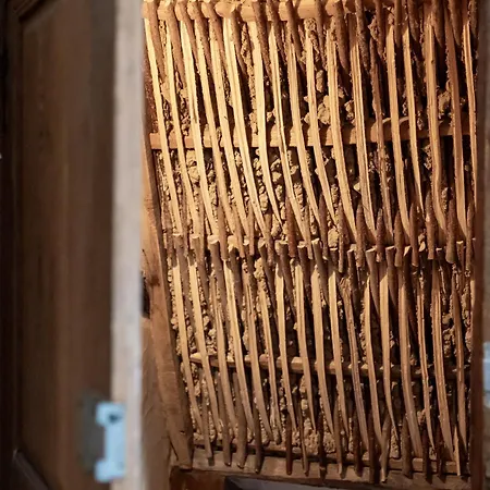 - Li Badet - 19 Personnes - Jacuzzi - Sauna Tatil Evi Vielsalm