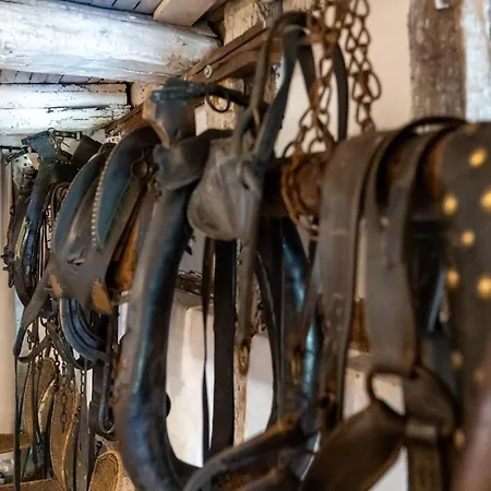 - Li Badet - 19 Personnes - Jacuzzi - Sauna