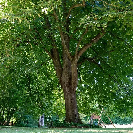 - Li Badet - 19 Personnes - Jacuzzi - Sauna Tatil Evi Vielsalm