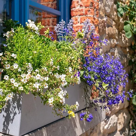 - Li Badet - 19 Personnes - Jacuzzi - Sauna Vielsalm